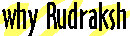 why_rudraksh.jpg